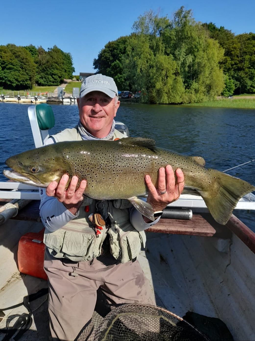 Big Brown Trout